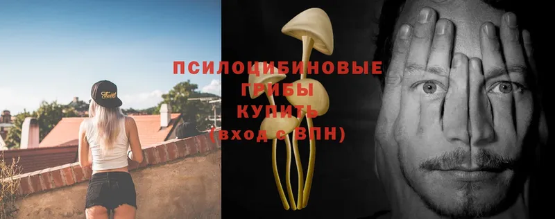 Псилоцибиновые грибы Magic Shrooms  Вуктыл 